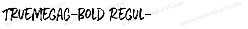 TrueMegaG-Bold Regul字体转换
